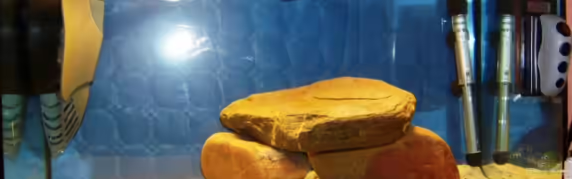 Becken 12832 von Rolli74