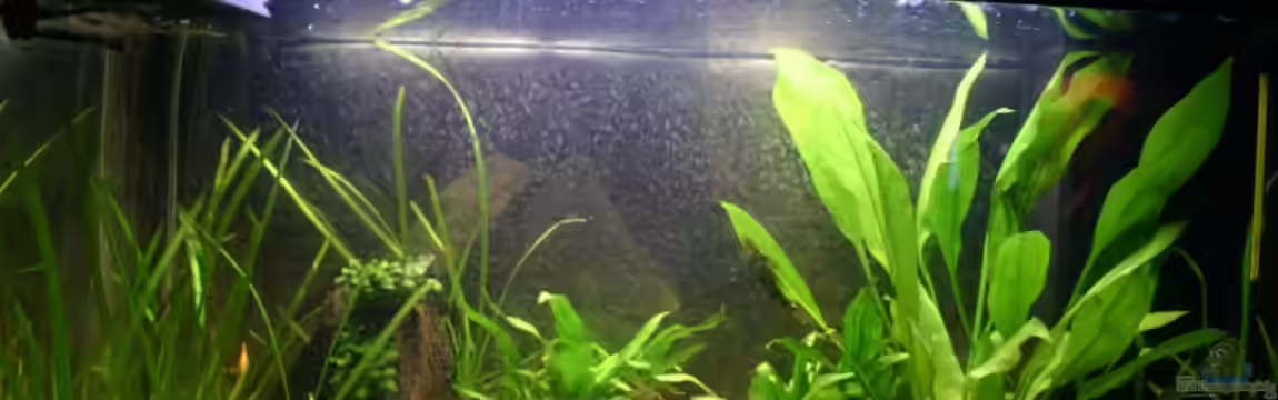 Becken 1284 von DerMarc