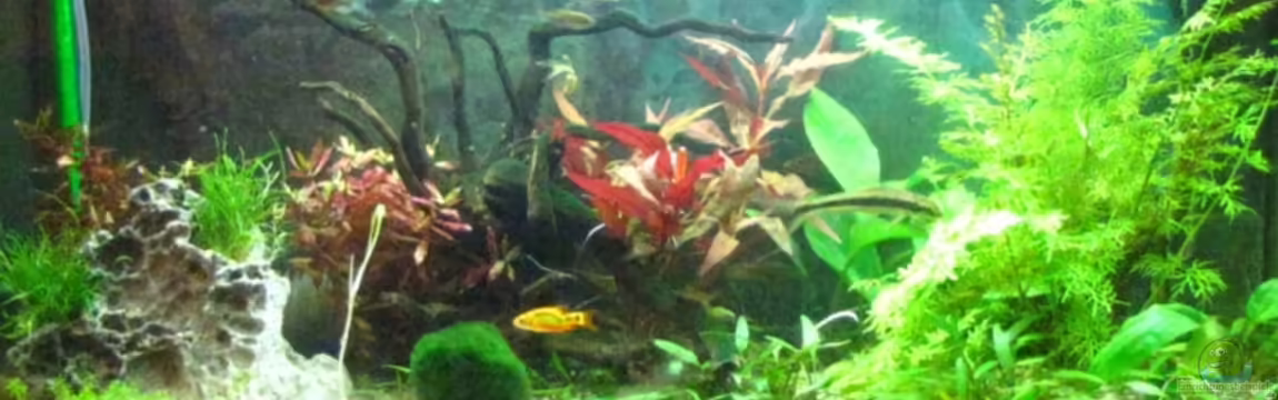 Becken 12848 von oONiTrOo