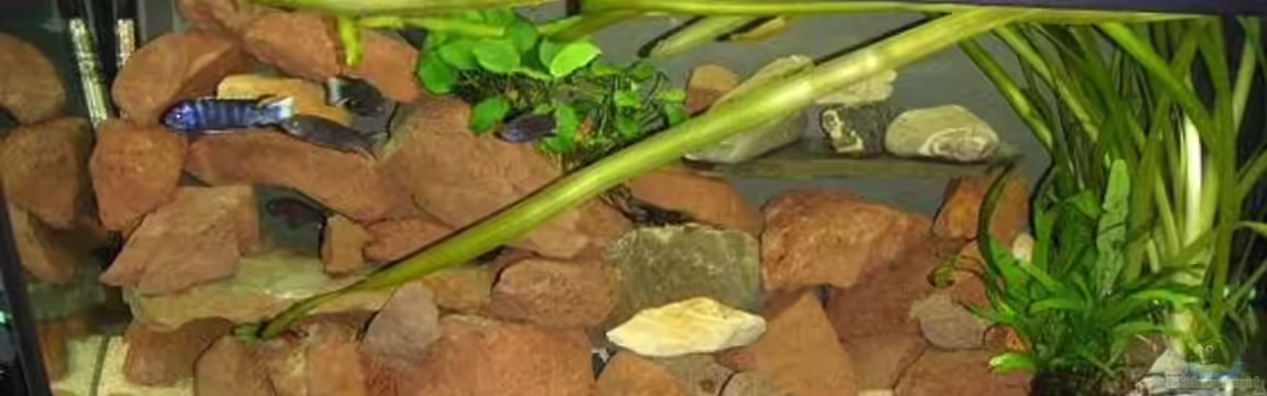 Becken 1286 von Leon Dähler