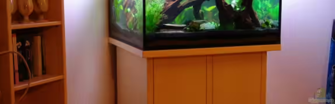 Becken 12899 von Paul Kerschbaumer