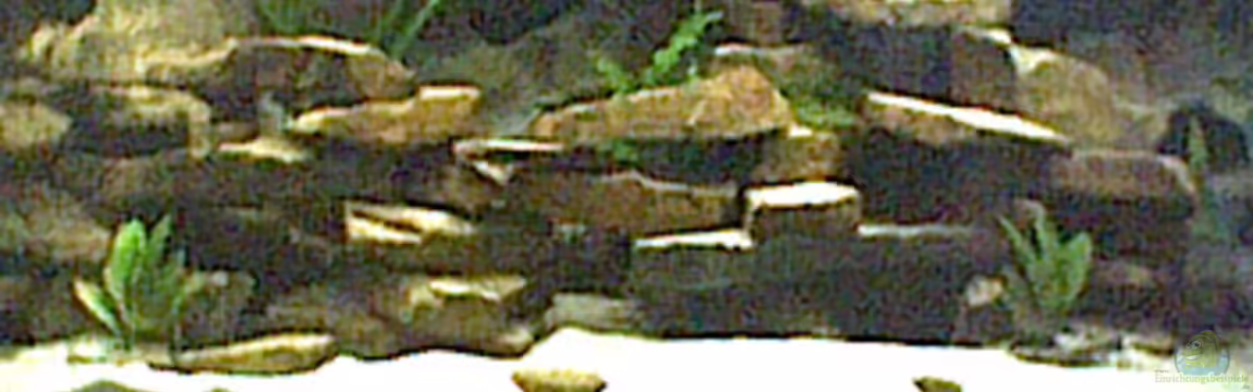 Becken 129 von Michael Ehrle