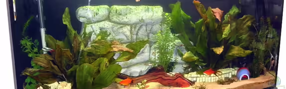 Becken 12910 von Airpower007