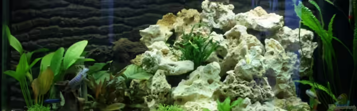 Becken 12925 von kk1971