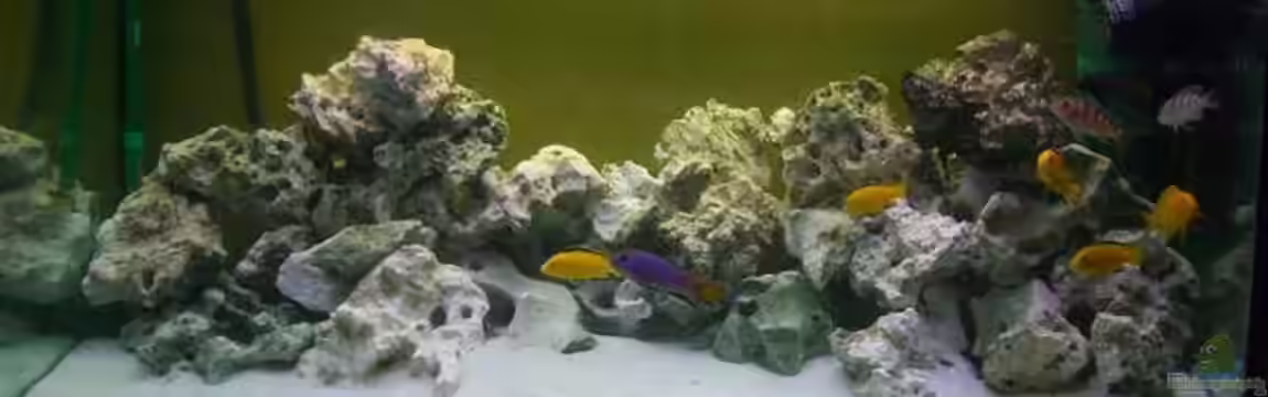 Becken 12945 von Kresimir Knezevic