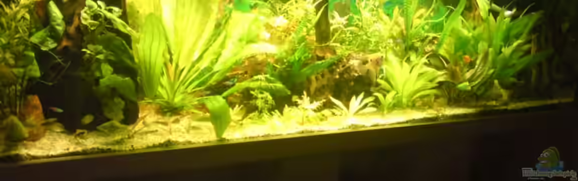 Becken 12955 von onkelstefan2005