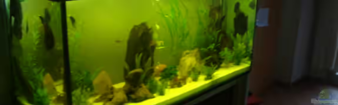 Becken 12959 von Manuel Pieper