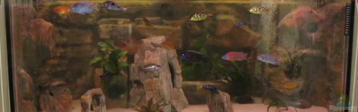 Becken 12978 von ms0174