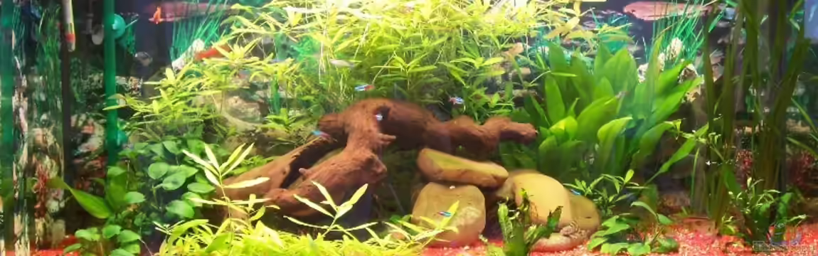 Becken 1301 von Jörg Bauer