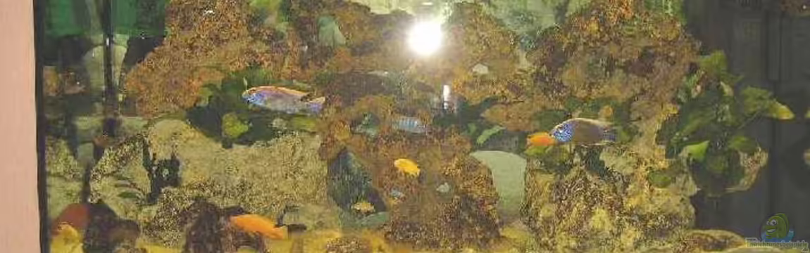 Becken 1302 von Dogan Talat