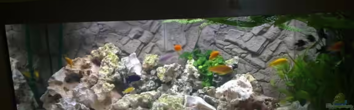 Becken 13030 von az189