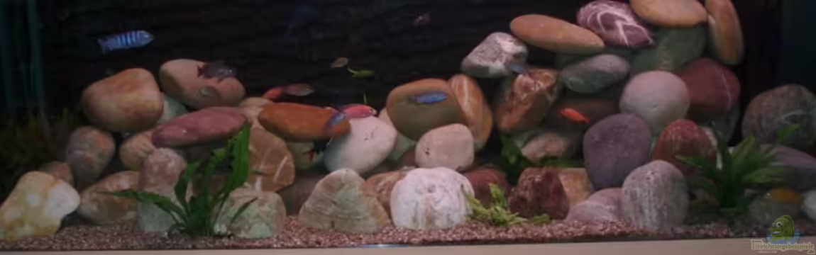 Becken 13050 von Brinni