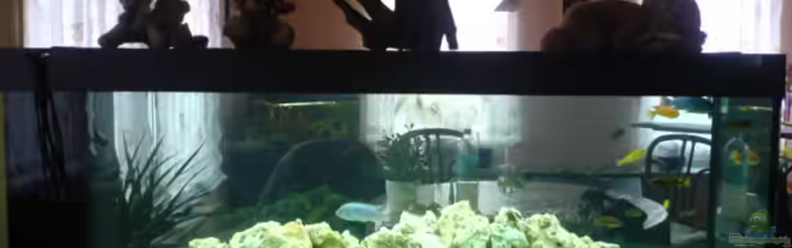 Becken 13105 von DoctorSatan