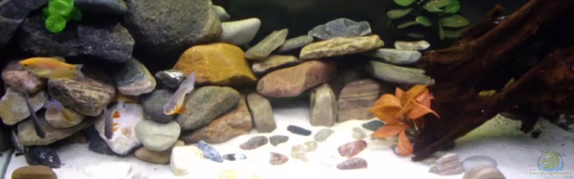 Becken 13130 von Maze