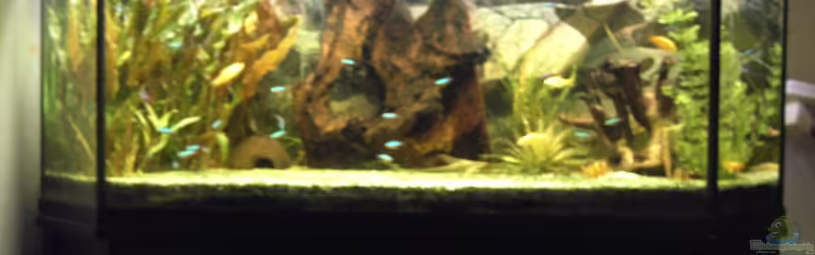 Becken 1316 von Christian Horn