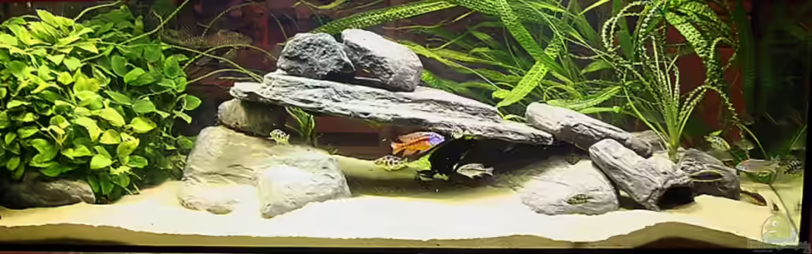 Becken 13171 von wakito