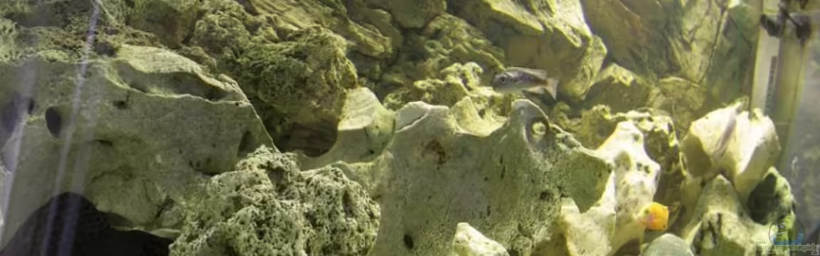 Becken 13246 von Sushi