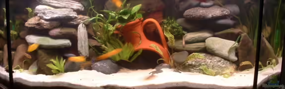 Becken 1332 von Michael Spengler