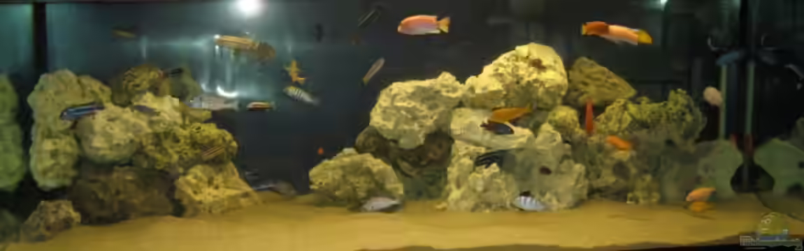 Becken 13373 von Thorsten Witting