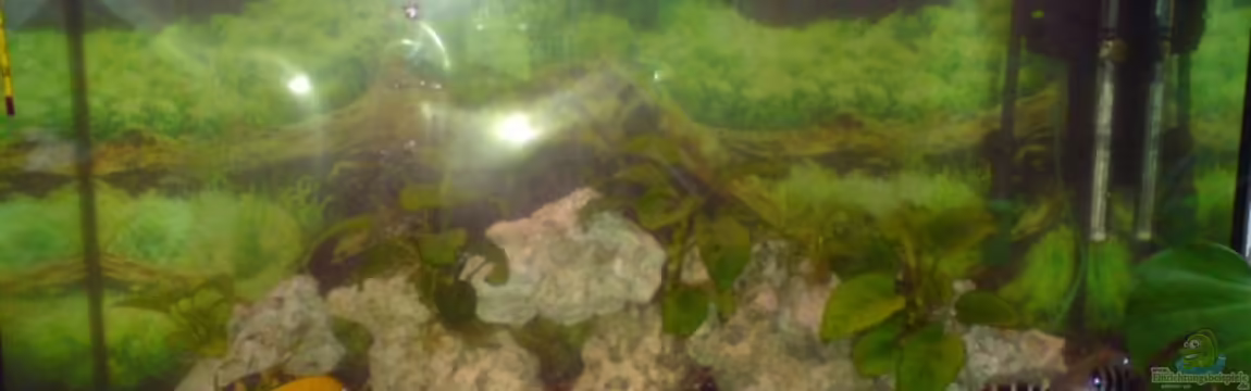 Becken 13399 von Christian Bäcker