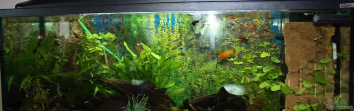 Becken 13460 von Sabrina Mertes