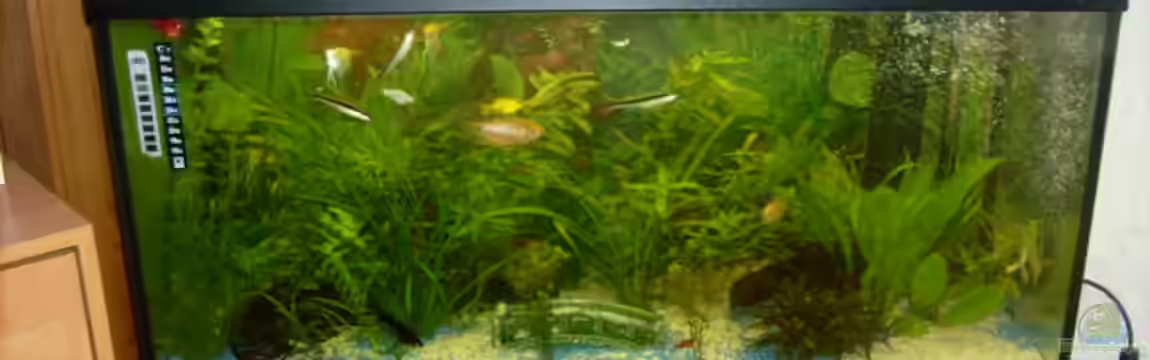 Becken 13475 von Idar-Oberstein