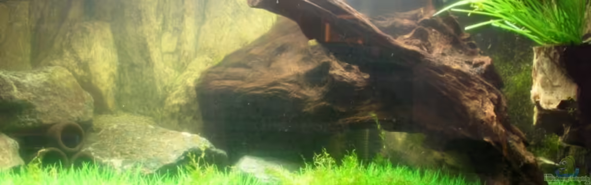 Becken 13496 von Dasy´s_Neelybecken