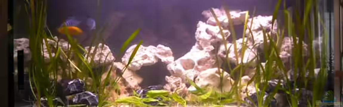 Becken 13498 von Jo Hille