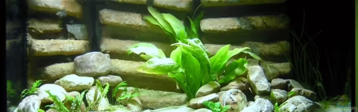 Becken 13510 von Markus M.