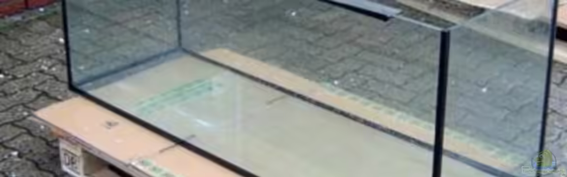 Becken 13533 von Dominik Kampmann