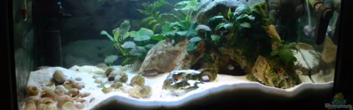 Becken 1357 von Christoph Klaus