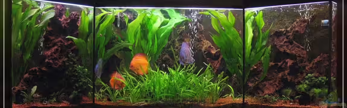 Becken 13613 von Holger Rauhe