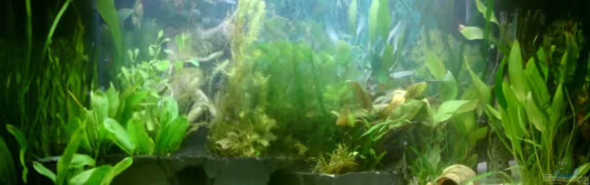 Becken 13627 von Nina Stahlschmidt