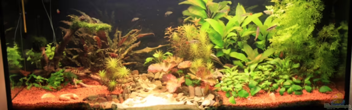 Becken 13628 von Linkman