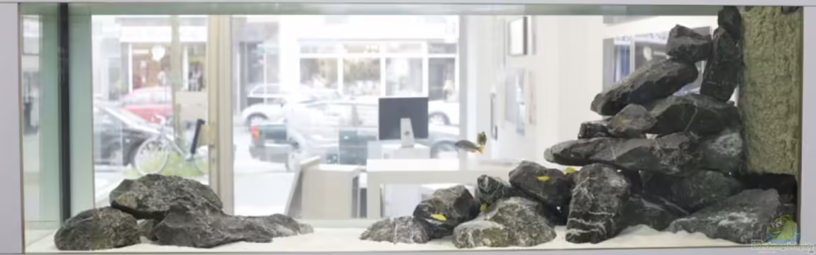 Becken 13672 von Ralf Bauer