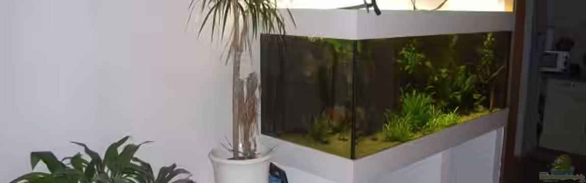 Becken 13702 von Markus Huber