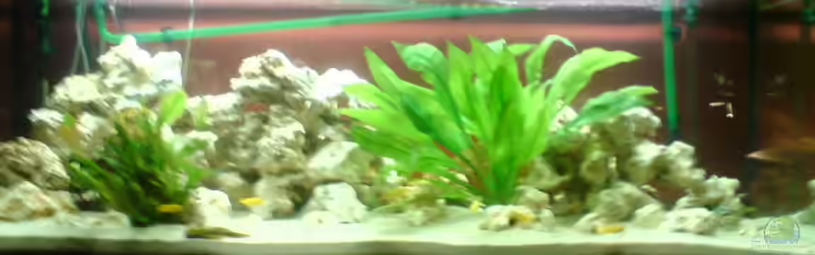 Becken 13741 von FeLLLLix