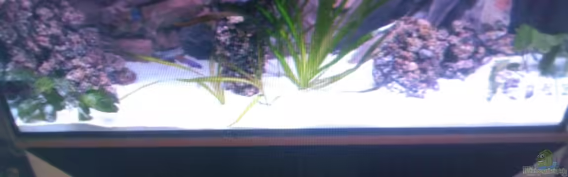 Becken 13770 von Andy O.