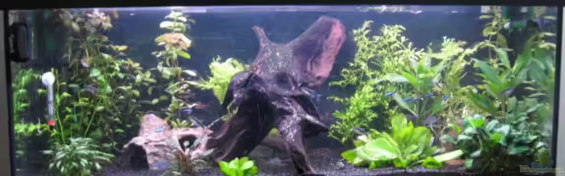 Becken 13833 von SirPaddy