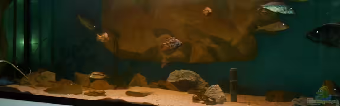 Becken 14013 von Ronny Laumer