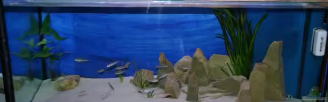 Becken 1402 von Rainer König