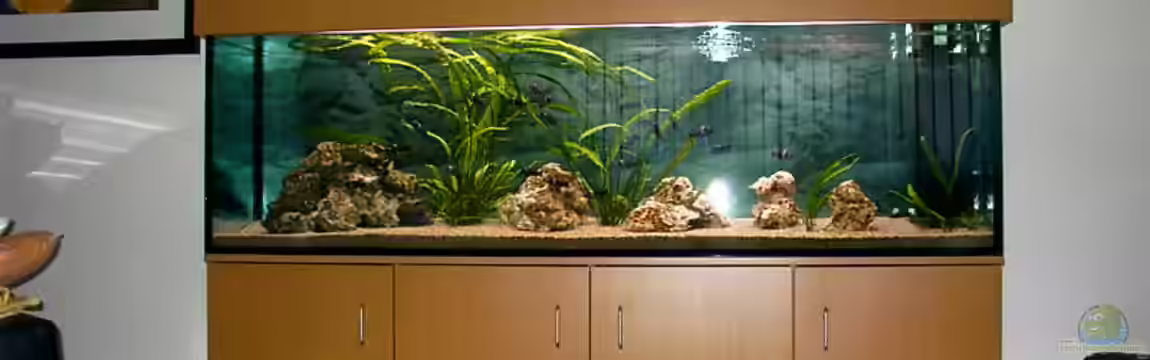 Becken 1405 von Tobias Noll