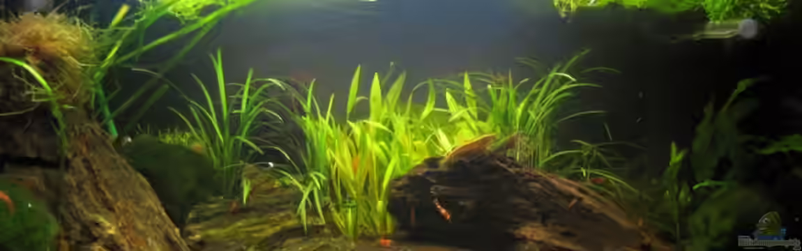 Becken 14168 von NilsH86