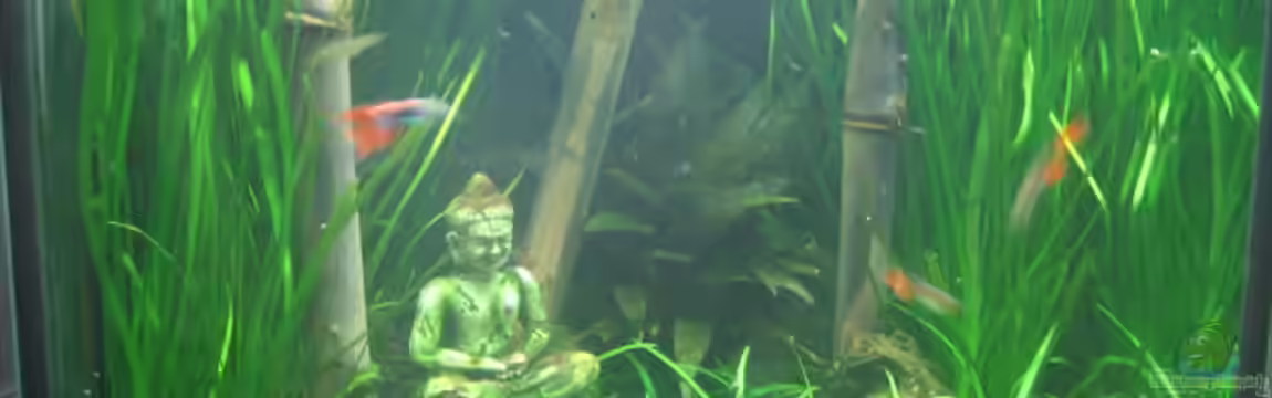 Becken 14191 von Marion Kulsch