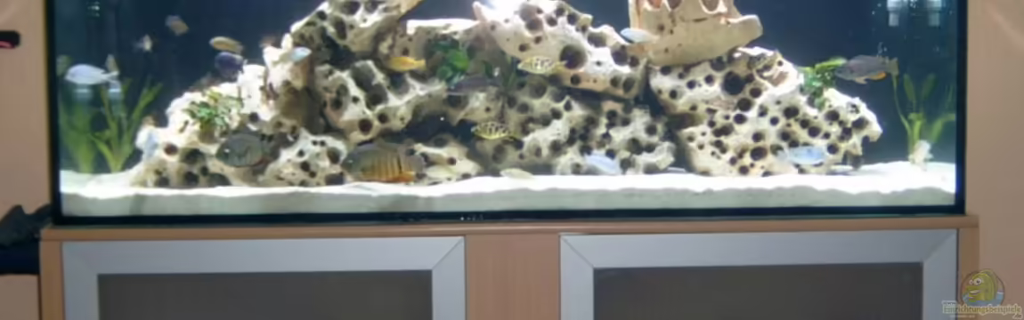 Becken 142 von Melanie Stauff