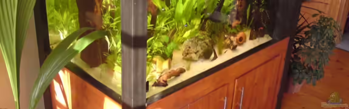 Becken 14259 von Runlikehell