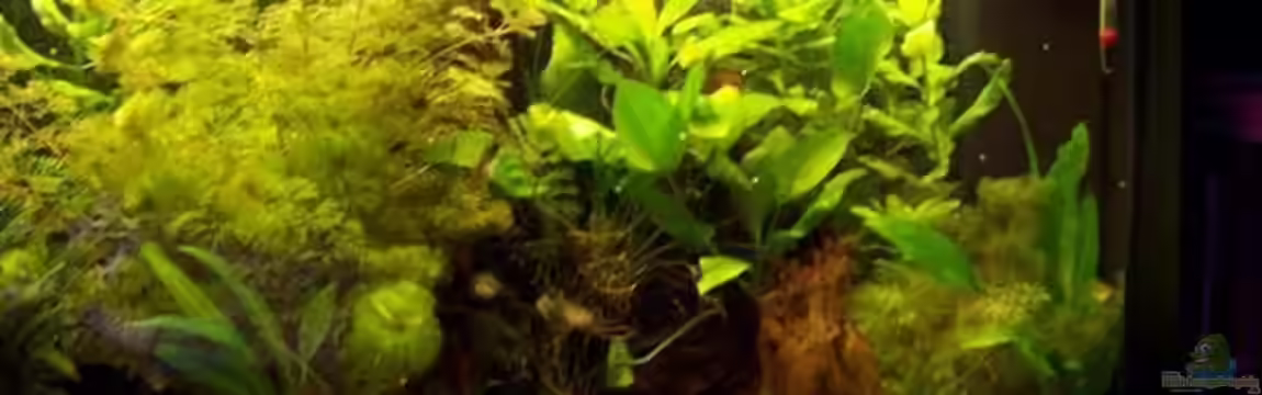 Becken 1427 von Philipp Huß