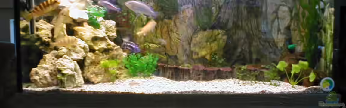 Becken 1432 von Ulrich Rothärmel