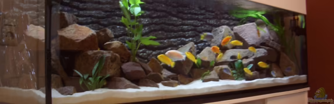 Becken 14379 von various77