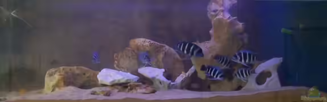 Becken 1444 von Oliver Hoß